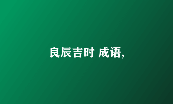 良辰吉时 成语,