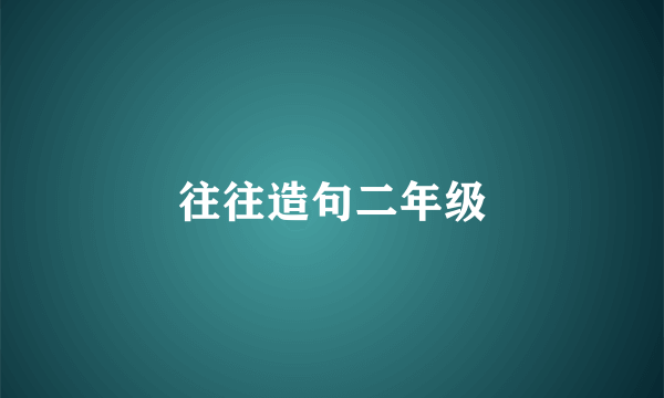 往往造句二年级