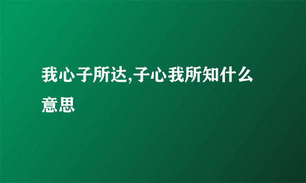 我心子所达,子心我所知什么意思