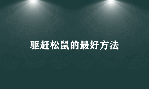 驱赶松鼠的最好方法