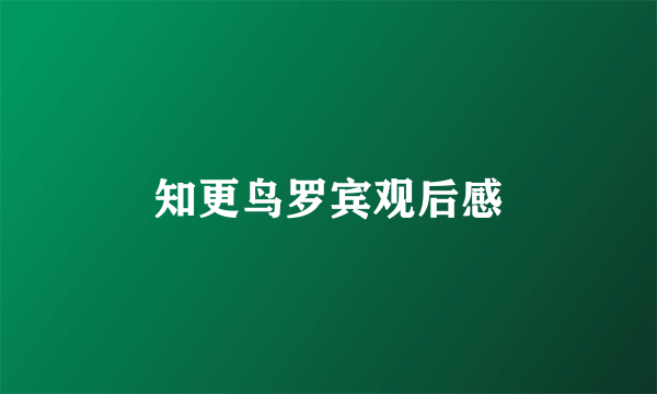 知更鸟罗宾观后感