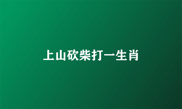 上山砍柴打一生肖