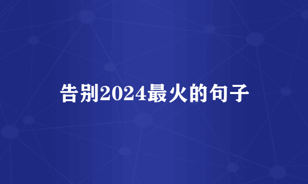告别2024最火的句子