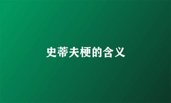 史蒂夫梗的含义