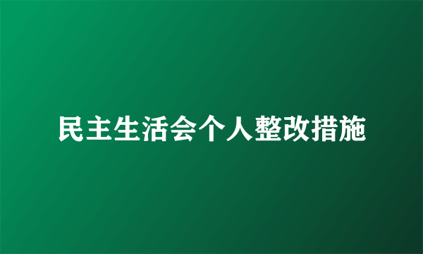 民主生活会个人整改措施