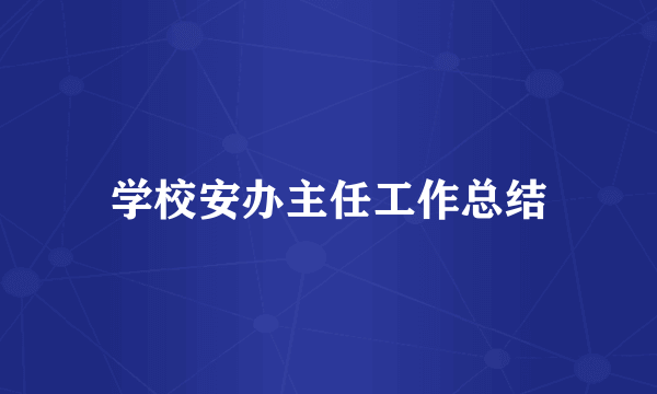 学校安办主任工作总结