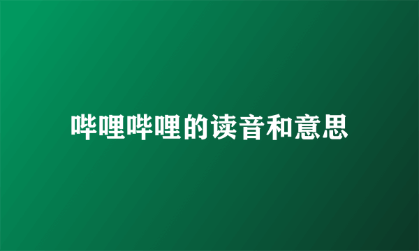 哔哩哔哩的读音和意思