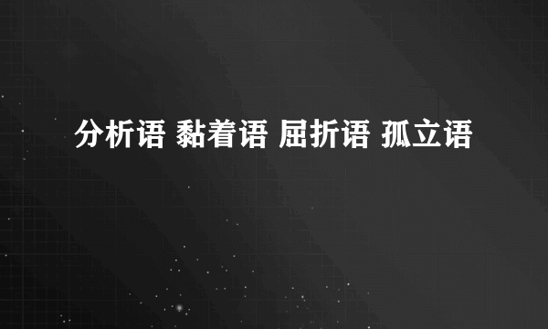 分析语 黏着语 屈折语 孤立语
