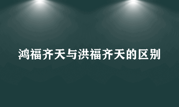 鸿福齐天与洪福齐天的区别