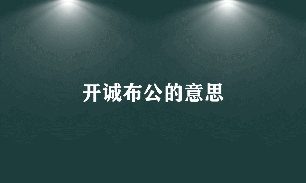 开诚布公的意思