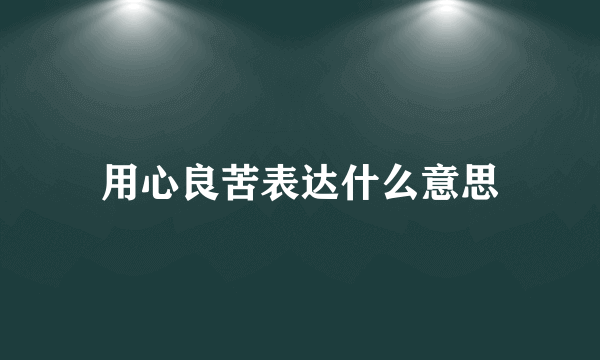 用心良苦表达什么意思