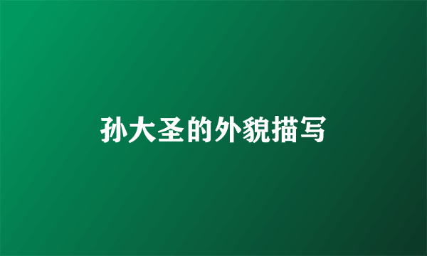 孙大圣的外貌描写