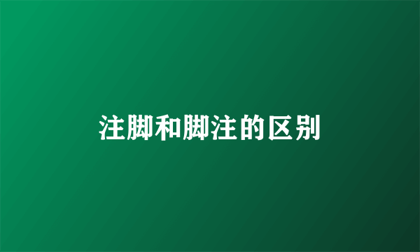 注脚和脚注的区别
