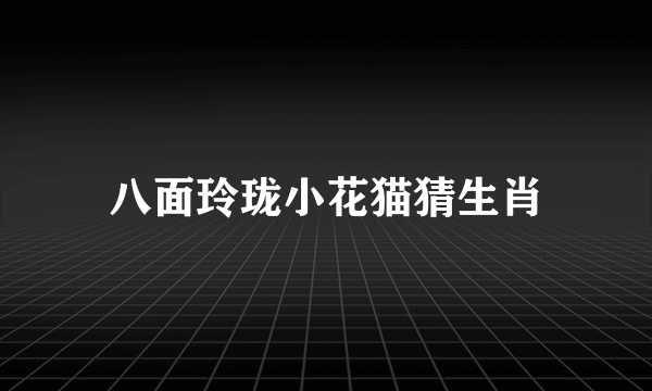 八面玲珑小花猫猜生肖