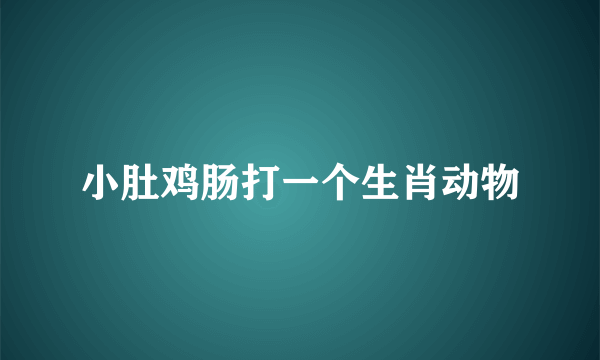 小肚鸡肠打一个生肖动物