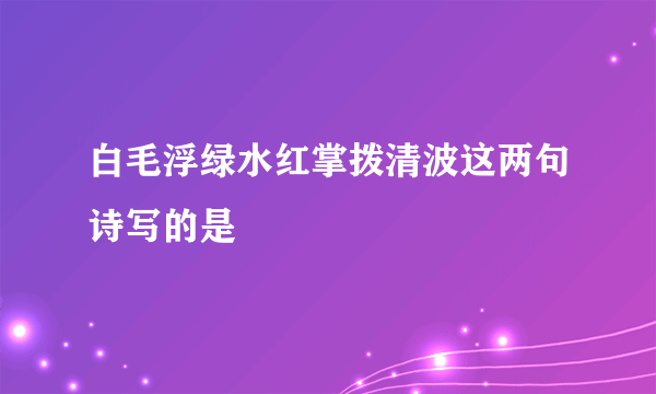 白毛浮绿水红掌拨清波这两句诗写的是