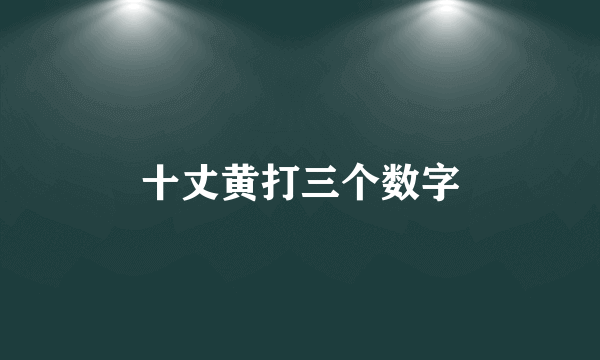 十丈黄打三个数字