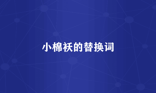 小棉袄的替换词