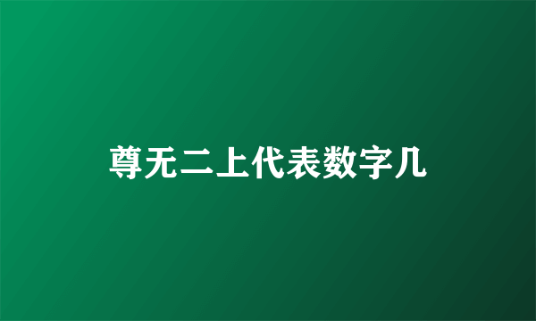 尊无二上代表数字几