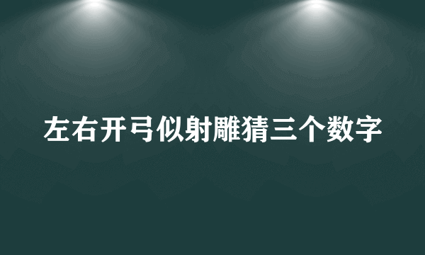 左右开弓似射雕猜三个数字