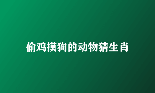 偷鸡摸狗的动物猜生肖