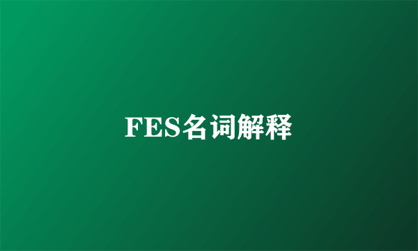 FES名词解释