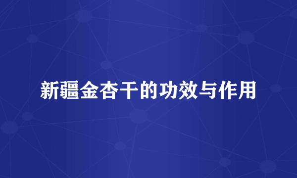 新疆金杏干的功效与作用