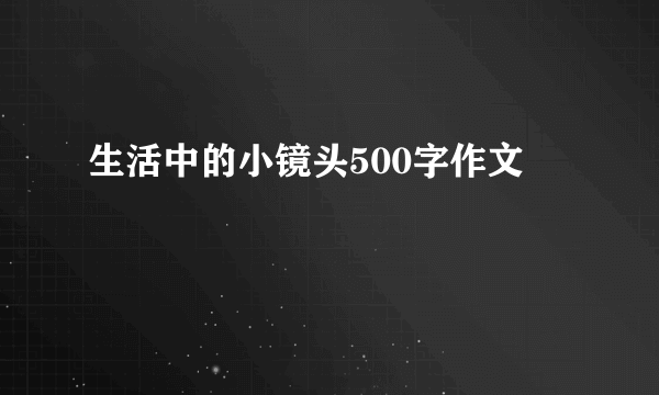 生活中的小镜头500字作文