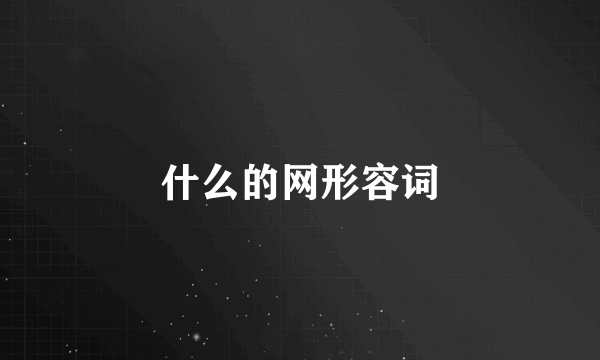 什么的网形容词