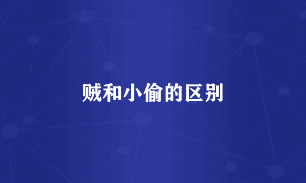 贼和小偷的区别