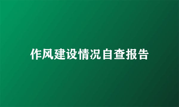 作风建设情况自查报告