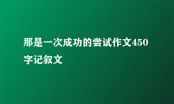 那是一次成功的尝试作文450字记叙文