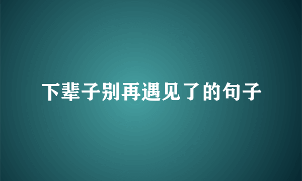 下辈子别再遇见了的句子