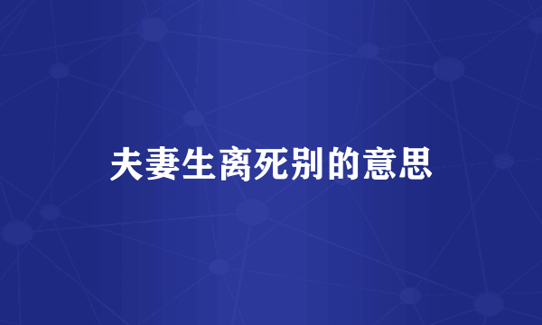 夫妻生离死别的意思