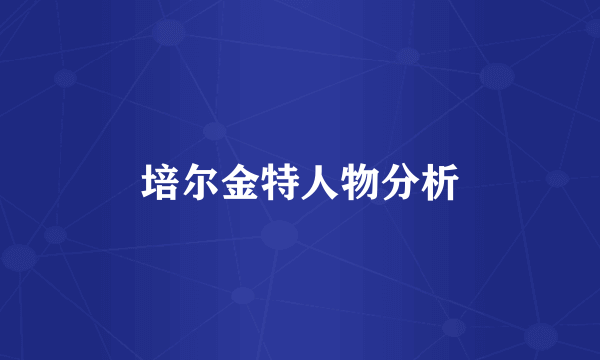 培尔金特人物分析