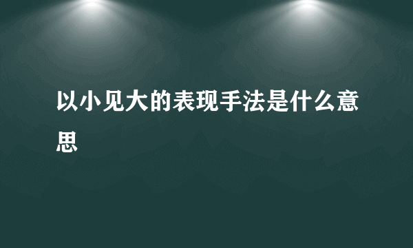 以小见大的表现手法是什么意思