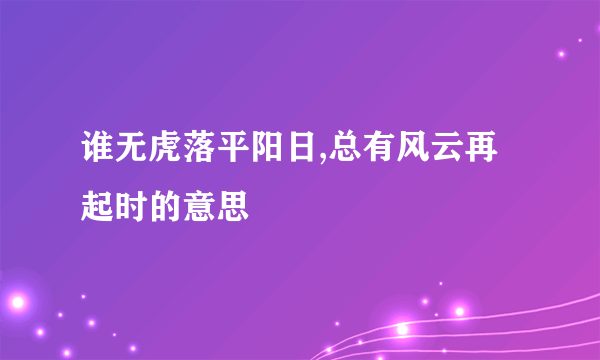 谁无虎落平阳日,总有风云再起时的意思