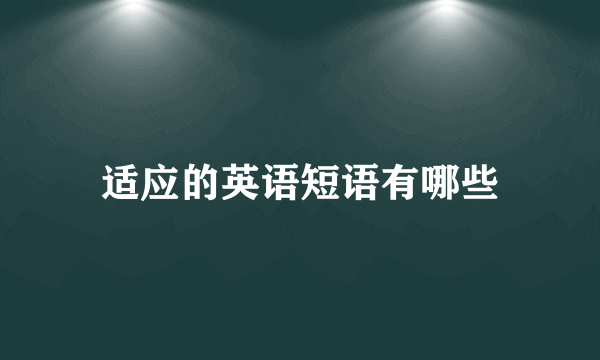 适应的英语短语有哪些