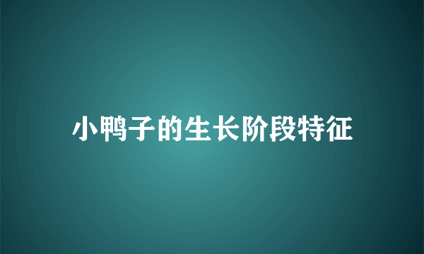 小鸭子的生长阶段特征