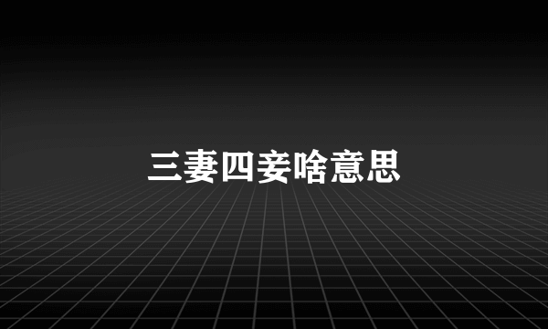 三妻四妾啥意思