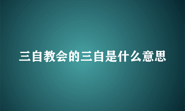 三自教会的三自是什么意思