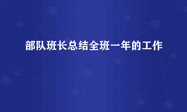 部队班长总结全班一年的工作