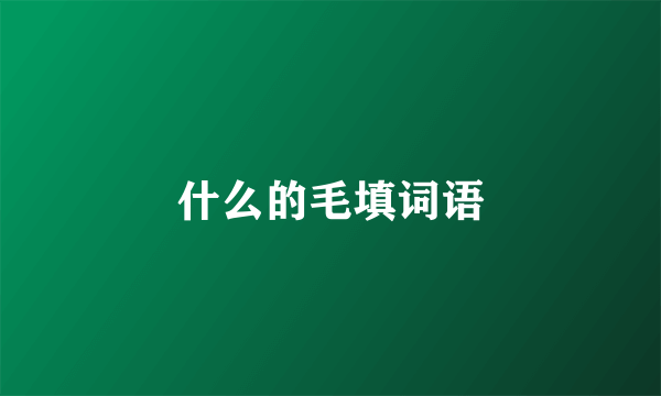 什么的毛填词语