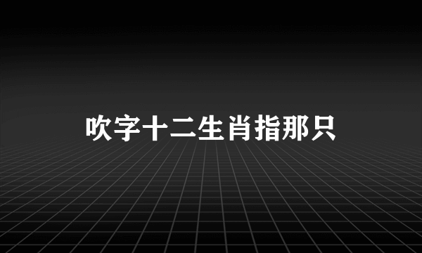 吹字十二生肖指那只