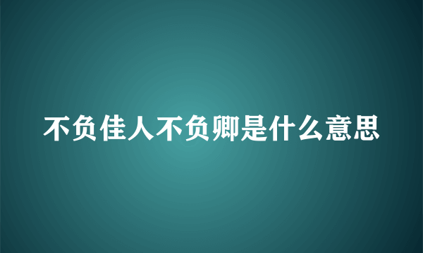 不负佳人不负卿是什么意思