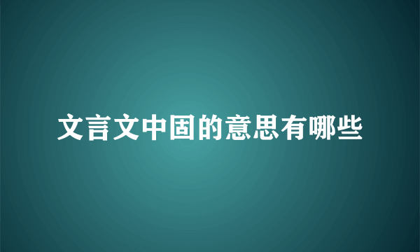 文言文中固的意思有哪些