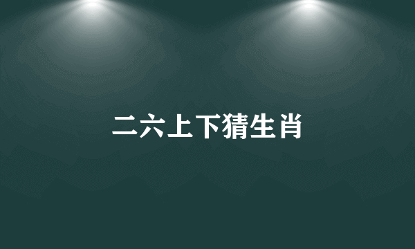 二六上下猜生肖