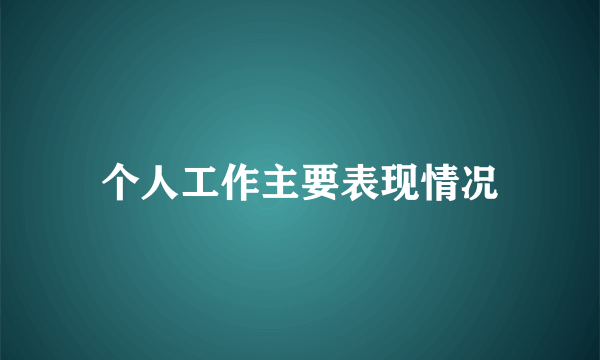 个人工作主要表现情况