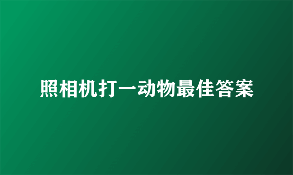 照相机打一动物最佳答案