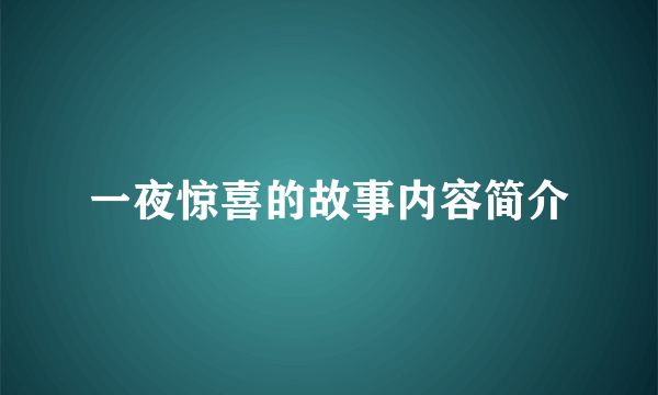 一夜惊喜的故事内容简介